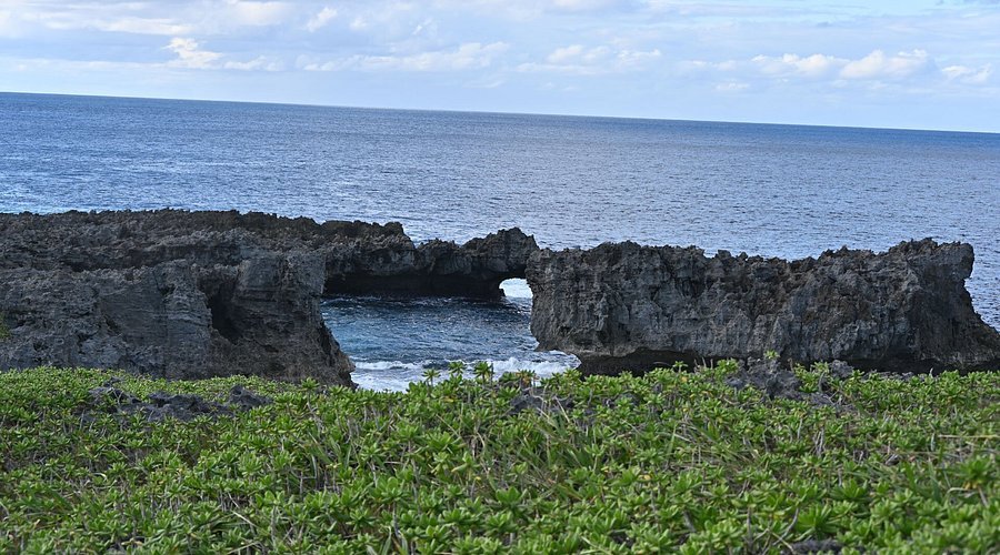 🏞️ 니시카이간 공원(백조곶 서해안 공원) 이미지 6